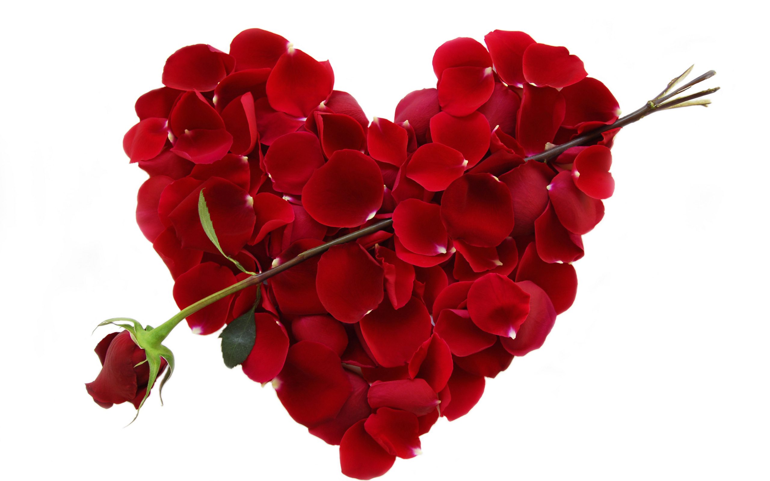 YOU GAVE UP ON DATING – AFTER ONE DATE!